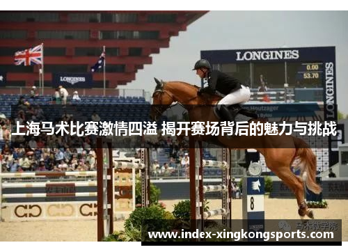 上海马术比赛激情四溢 揭开赛场背后的魅力与挑战