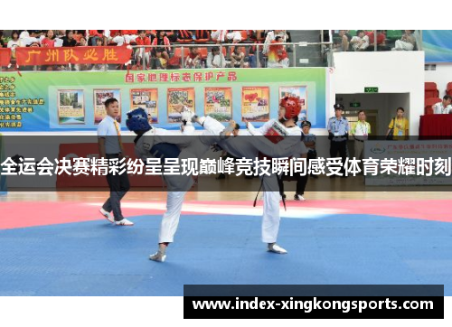 全运会决赛精彩纷呈呈现巅峰竞技瞬间感受体育荣耀时刻