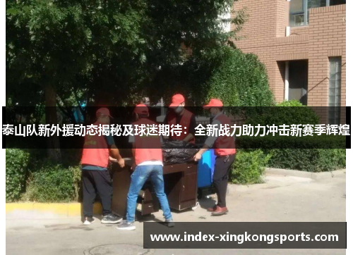 泰山队新外援动态揭秘及球迷期待：全新战力助力冲击新赛季辉煌