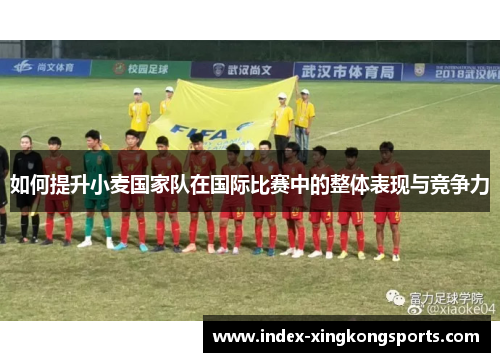 如何提升小麦国家队在国际比赛中的整体表现与竞争力