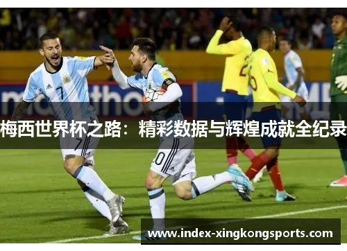 梅西世界杯之路：精彩数据与辉煌成就全纪录