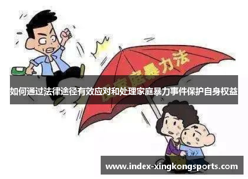如何通过法律途径有效应对和处理家庭暴力事件保护自身权益