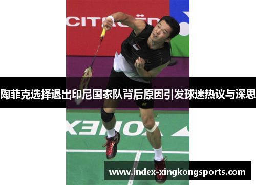 陶菲克选择退出印尼国家队背后原因引发球迷热议与深思